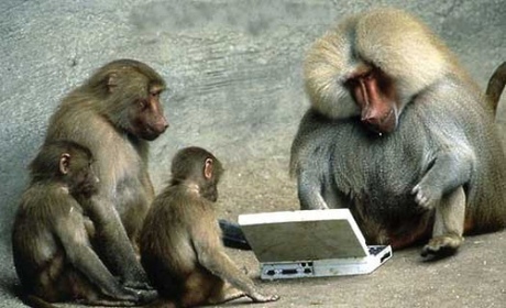 computer-monkeys